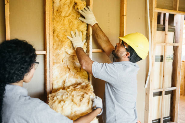 Best Insulation Removal Services  in USA